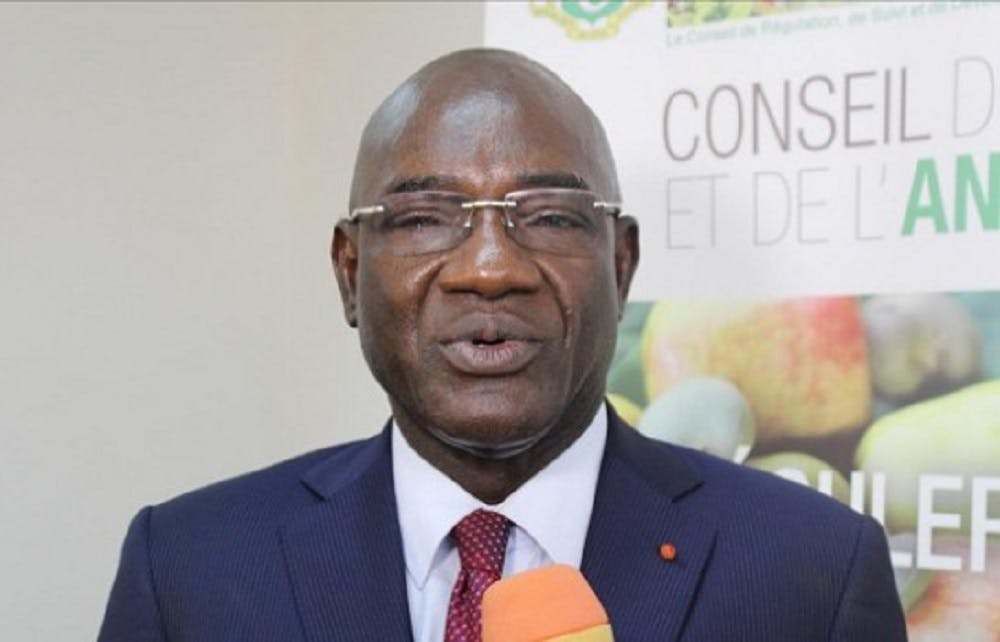 “L’anacarde reste un arbre écologique introduit en Côte d’Ivoire pour reboiser la savane” – Le Dg du CCA au Forum Afrique 2022 Cian/L’opinion