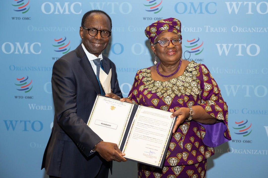 Pêche : La Côte d’Ivoire accepte l’accord sur les subventions de l’OMC