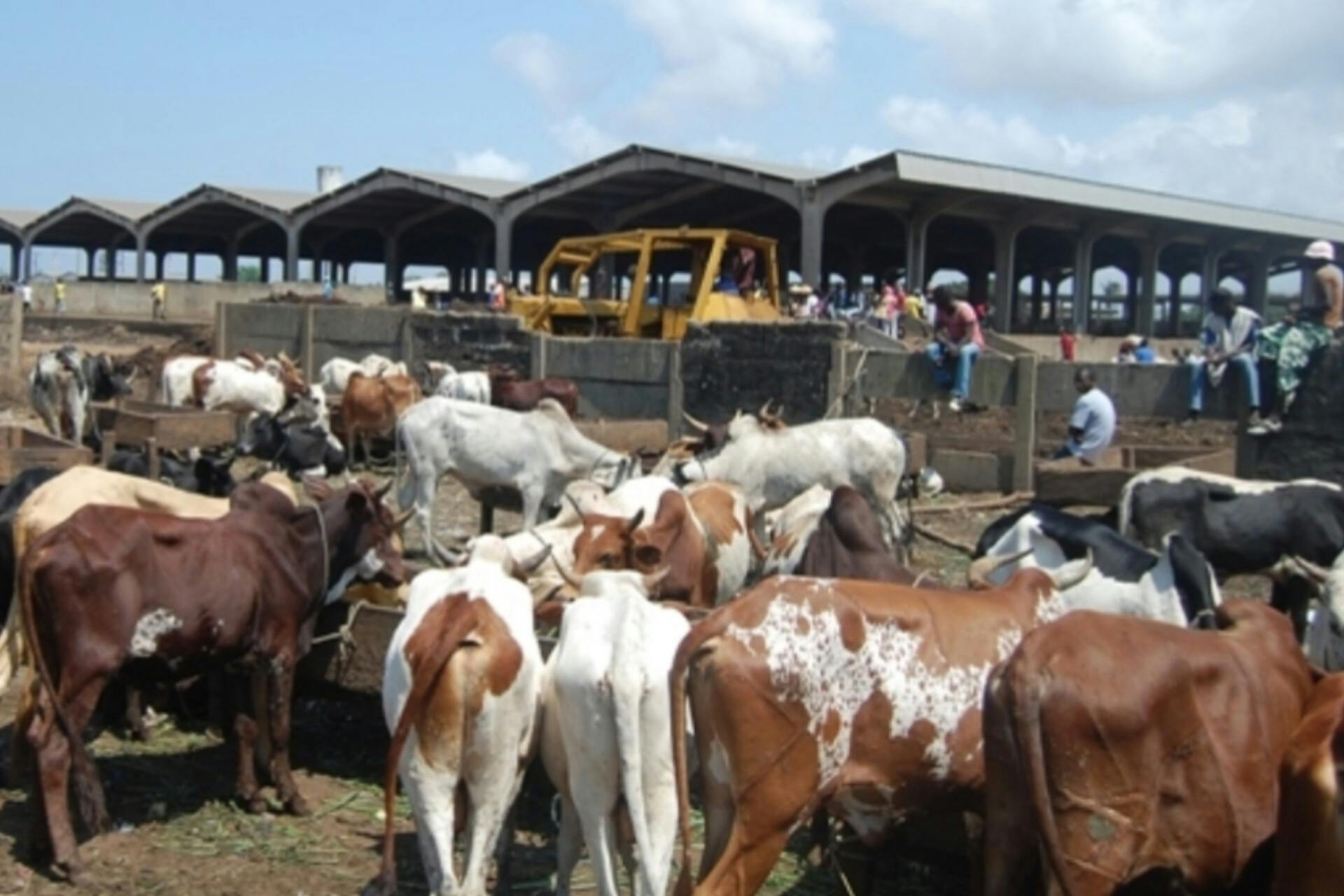 Délocalisation du parc à bétail et déguerpissement du quartier Abattoir : le district d’Abidjan condamne la duplicité de la mairie de Port-Bouët