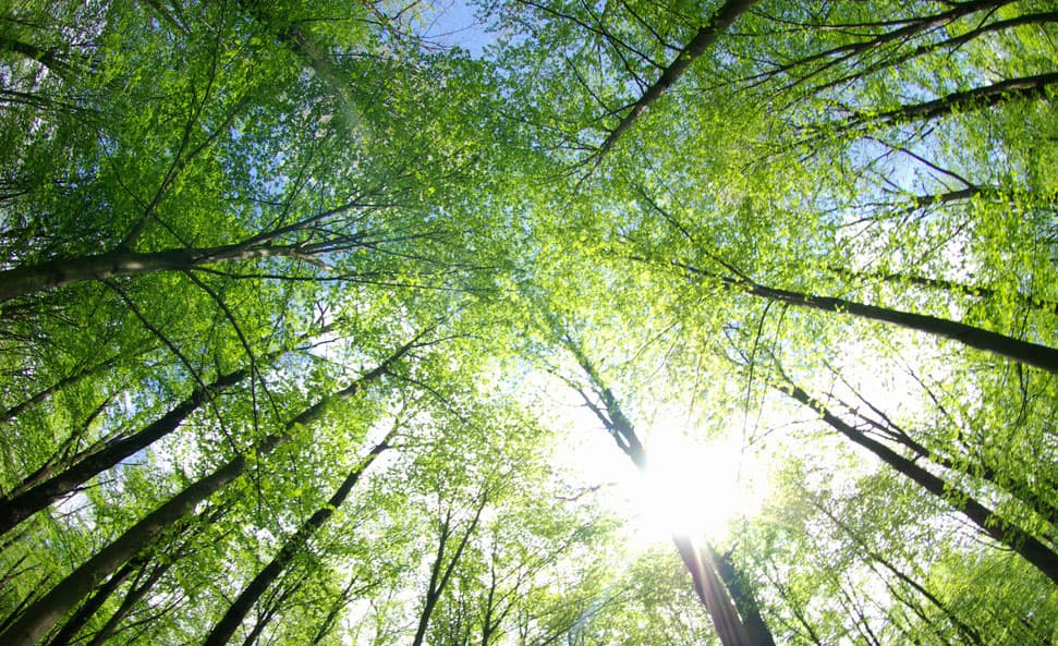 climat: la Bad consacre plus de 36% de ses financements à la question