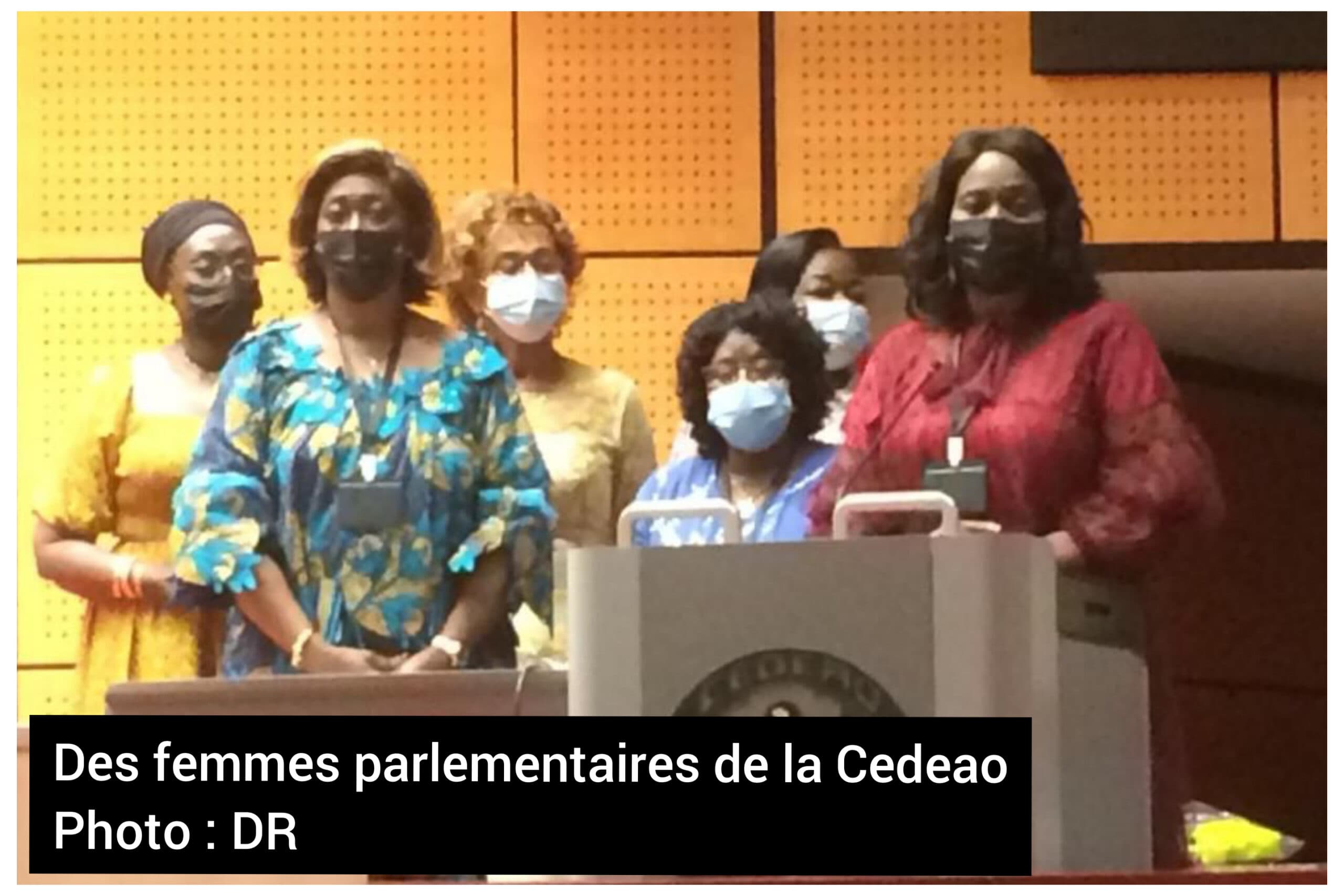 Association des femmes parlementaires de la Cedeao : la sénatrice ivoirienne Chantal Fanny élue secrétaire générale