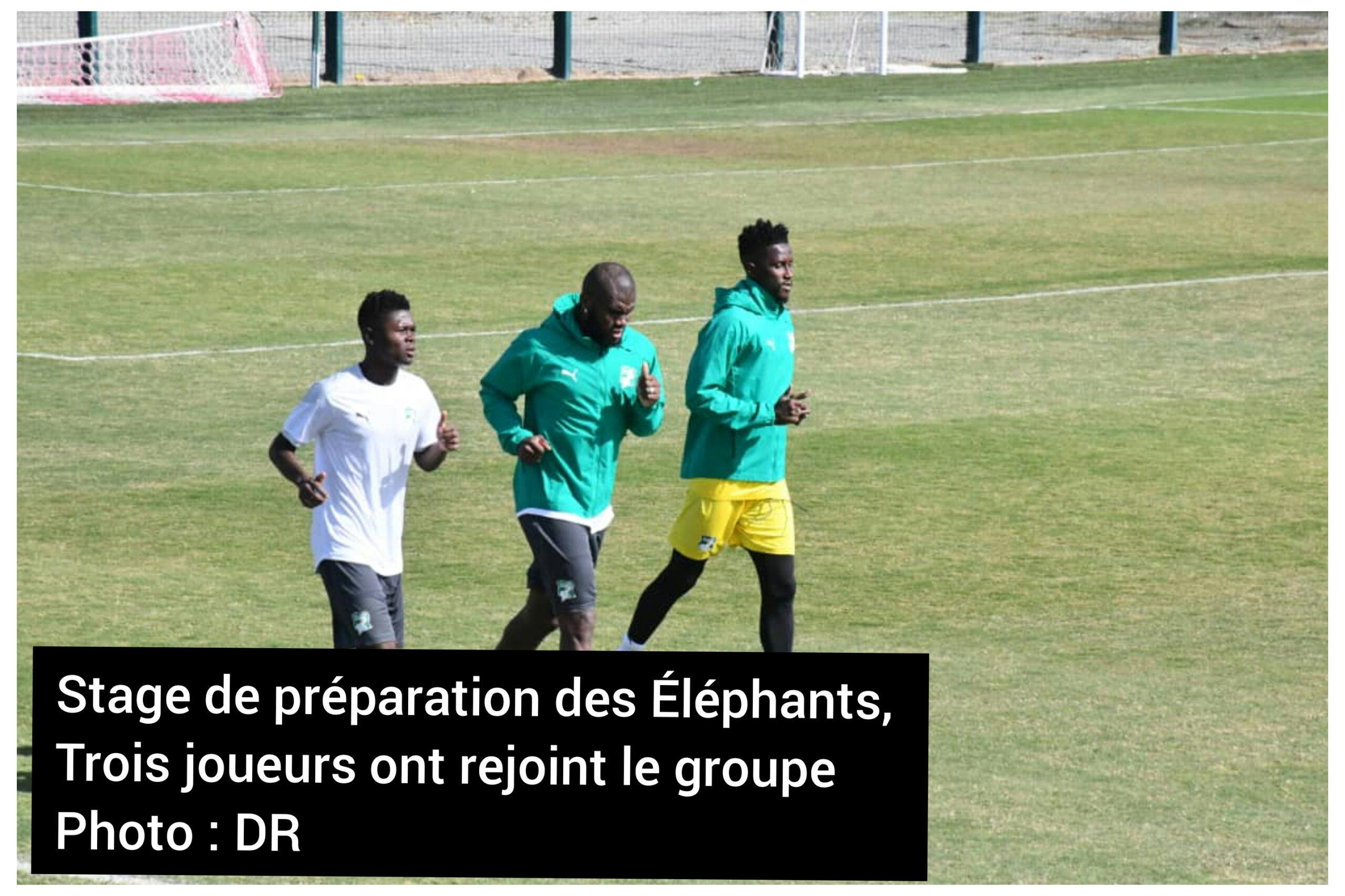 CAN 2021- Stage de préparation des Éléphants : Trois joueurs ont rejoint le groupe