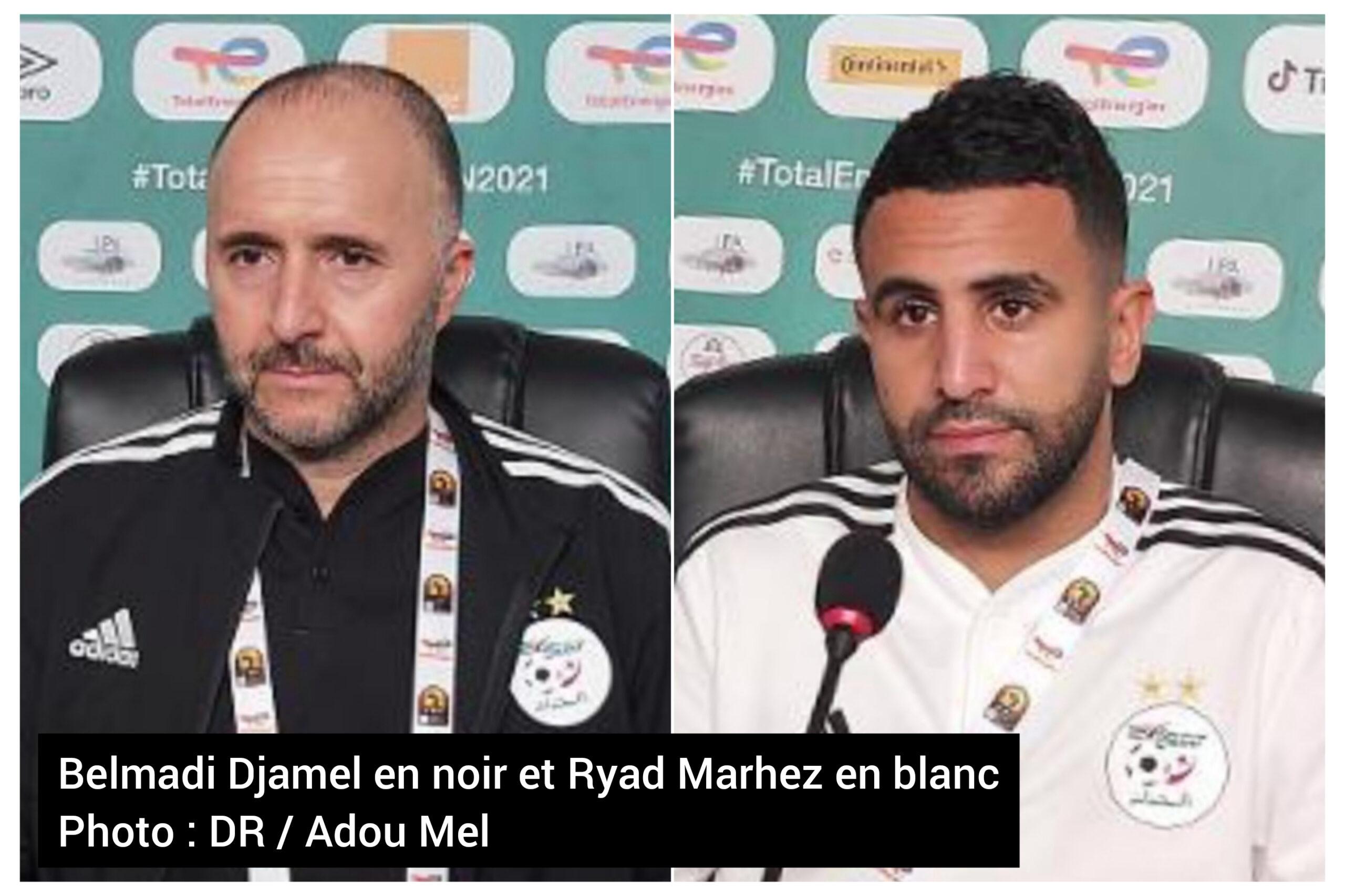 CAN 2021 : propos de Djamel Belmadi, Ryad Marhez, John Keister et Mohamed Kamara avant Algérie-Sierra Leone