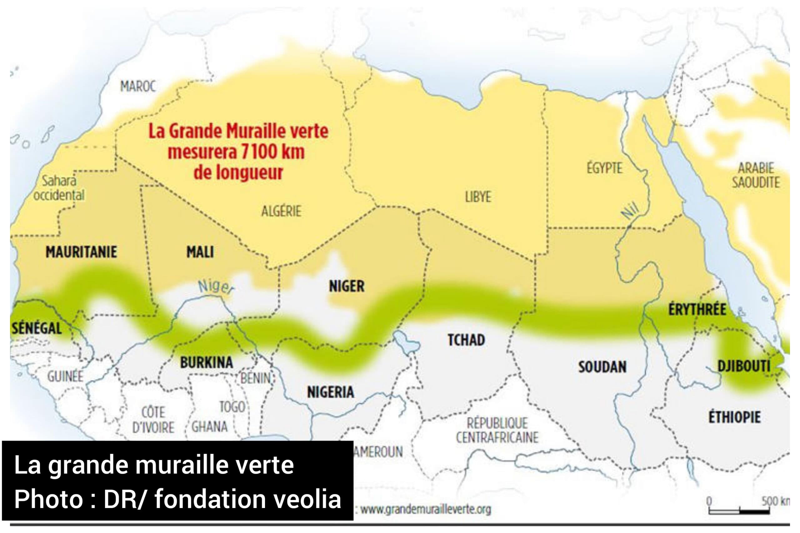 Chronique du Lundi- Écologie, développement et sécurité au Sahel : le projet de la « grande muraille verte » doit être mis en cohérence avec le volet « développement » du sahel 