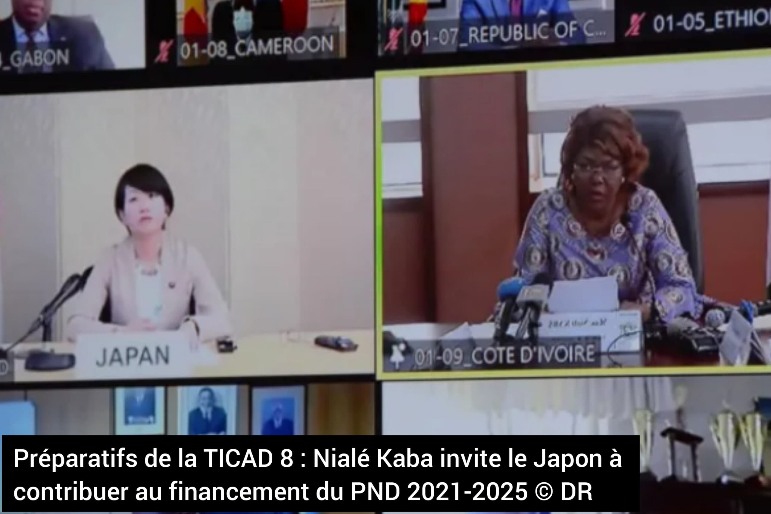 Préparatifs de la TICAD 8 : La ministre Nialé Kaba invite le Japon à contribuer au financement du PND 2021-2025