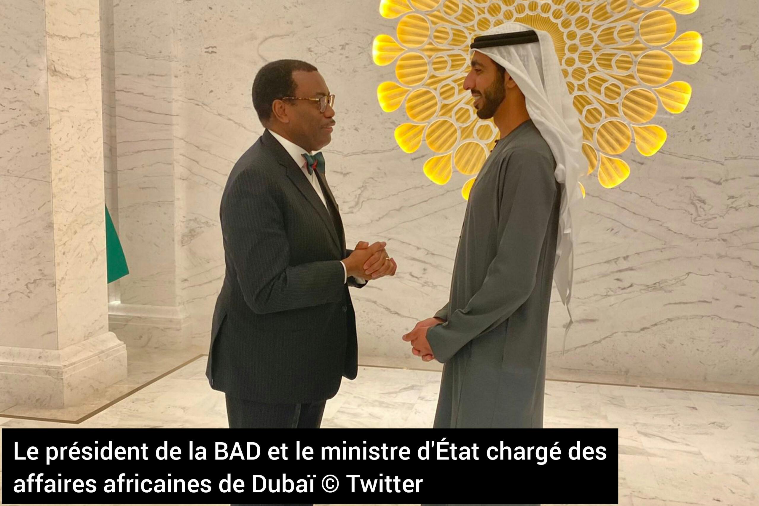 Le président BAD Akinwumi Adesina achève sa visite de trois jours aux Émirats arabes unis