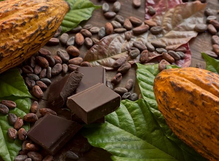 Cacao : les sociétés civiles de la Côte d’Ivoire et du Ghana soutiennent le boycott de la réunion de la World cocoa foundation