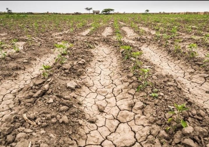 Chronique du lundi – le 5 decembre journée mondiale des sols : Des risques de famine à la « faim caché »