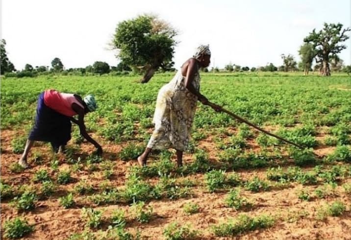 À mon avis… Quelle honte pour l’Afrique …