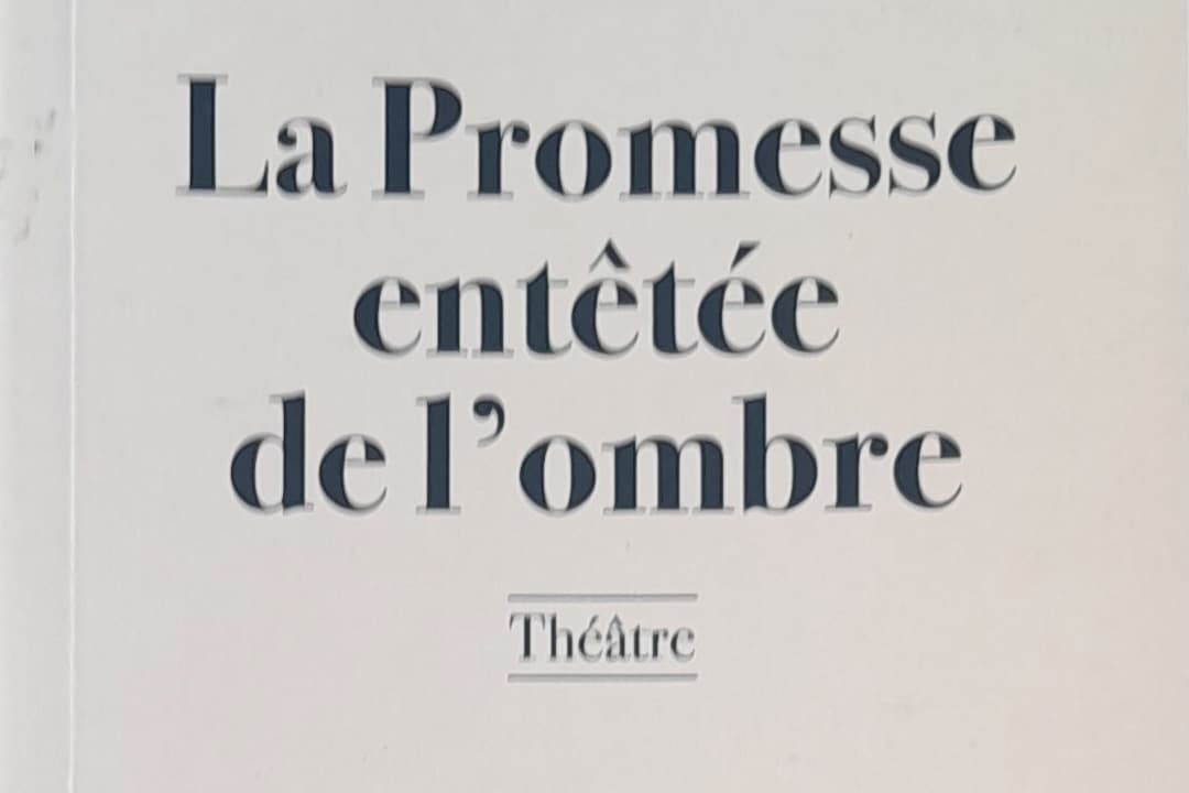 Lu pour vous by CoolBee Ouattara – « La promesse entêtée de l’ombre » d’Henri N’koumo | la solitude du pouvoir.