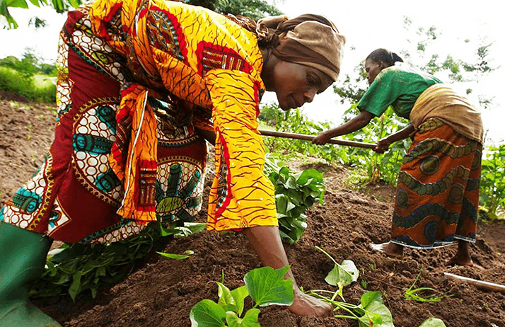 Développement économique : donner des moyens aux agricultrices